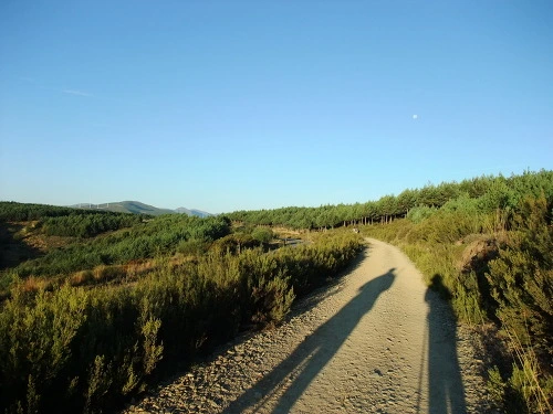 207E0D404FC050C02BCBA7