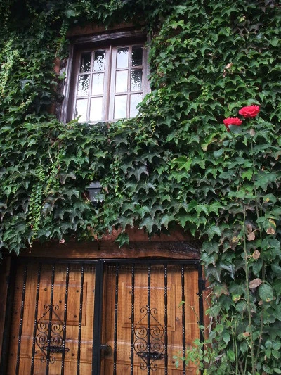 15491D484FE591542AF32A