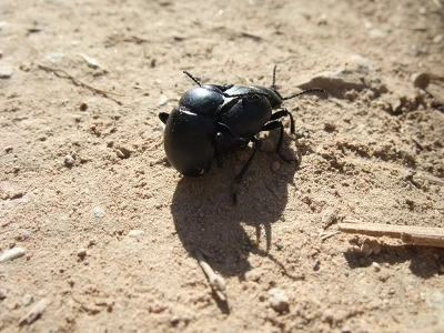 180F003E4EF0A4E130F912