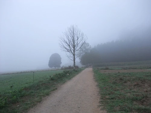 180E3234502904623510B2