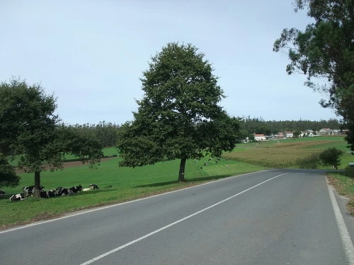 011BAC4B507AA2810F1B6A