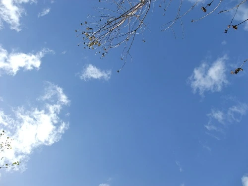 1836BB394FE591CC02AC8C