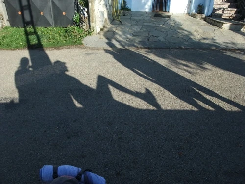 201EFF414FD4C087069EBE