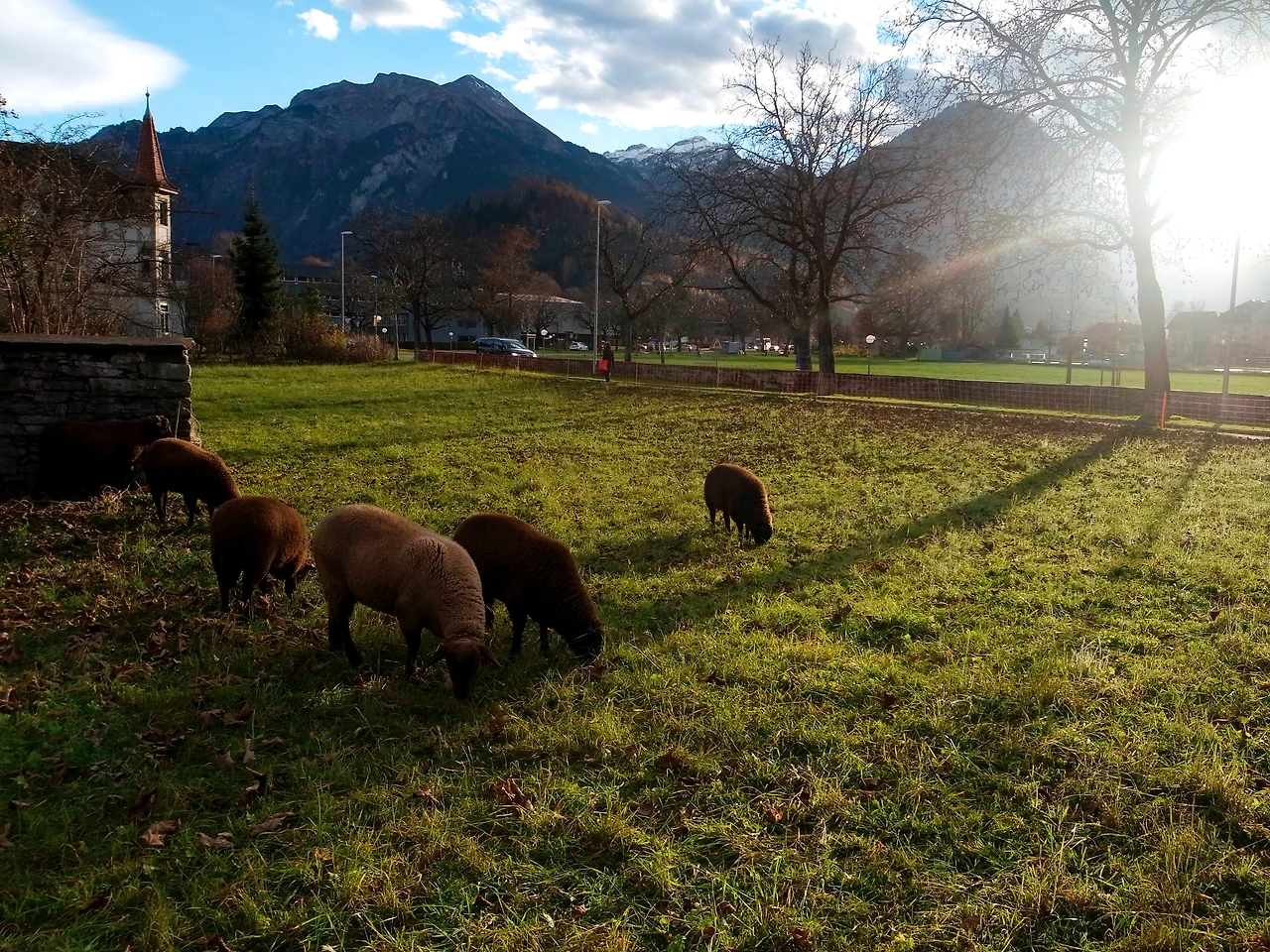 Switzerland (63).JPG