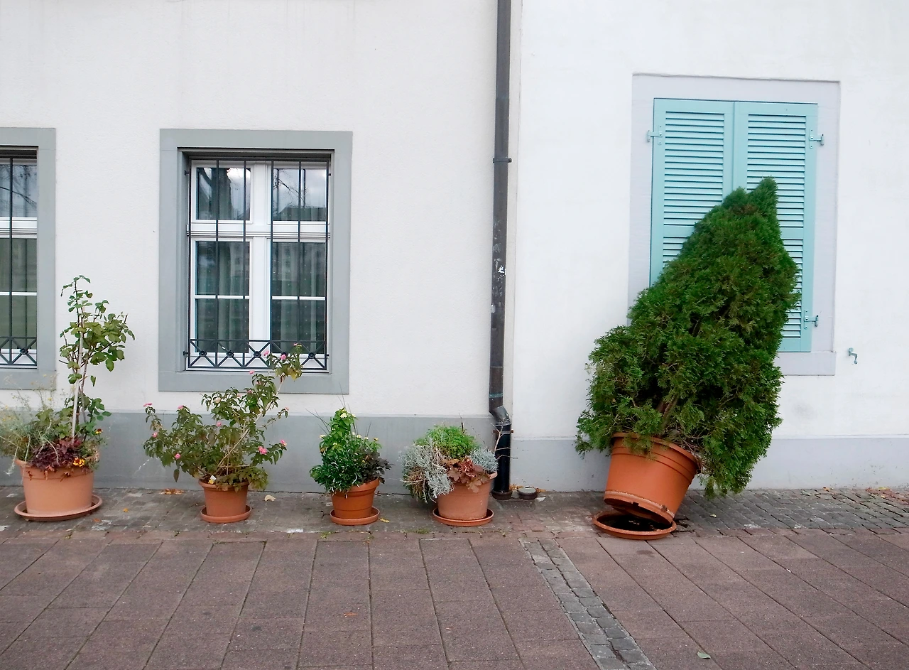 Switzerland (11).JPG