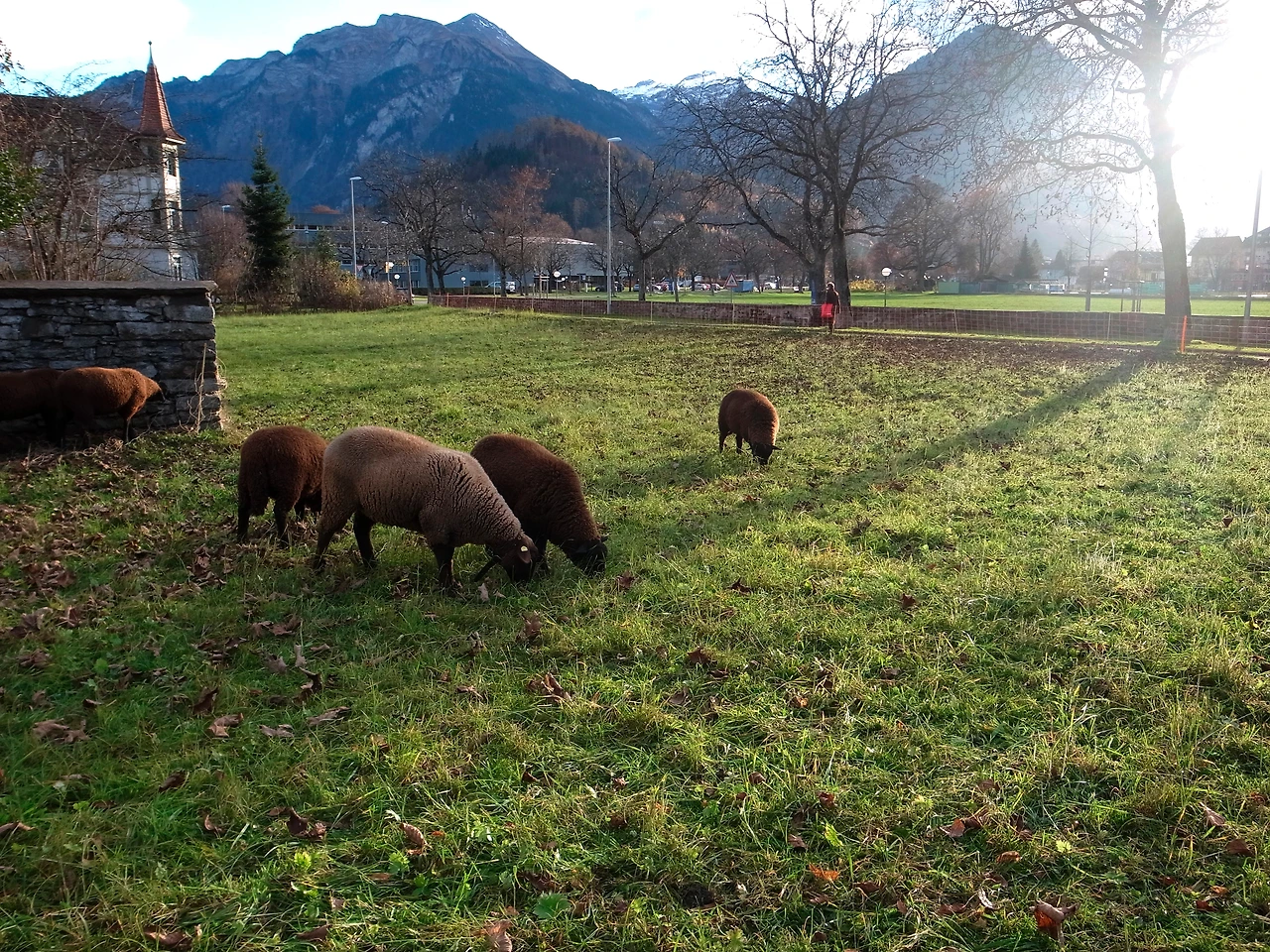Switzerland (62).JPG