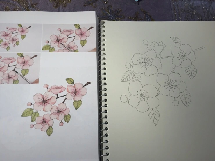 IMG_7028.jpg?type=w773