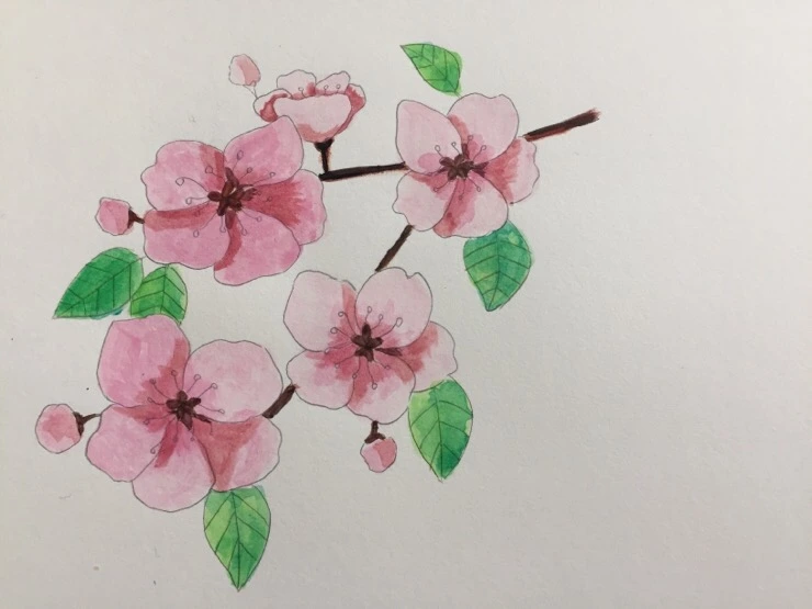 IMG_7130.jpg?type=w773