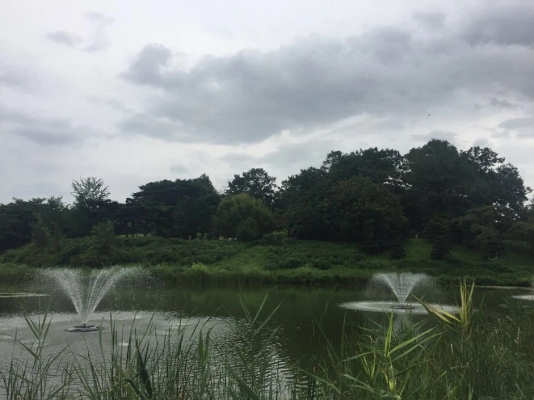 IMG_9666.jpg?type=w773