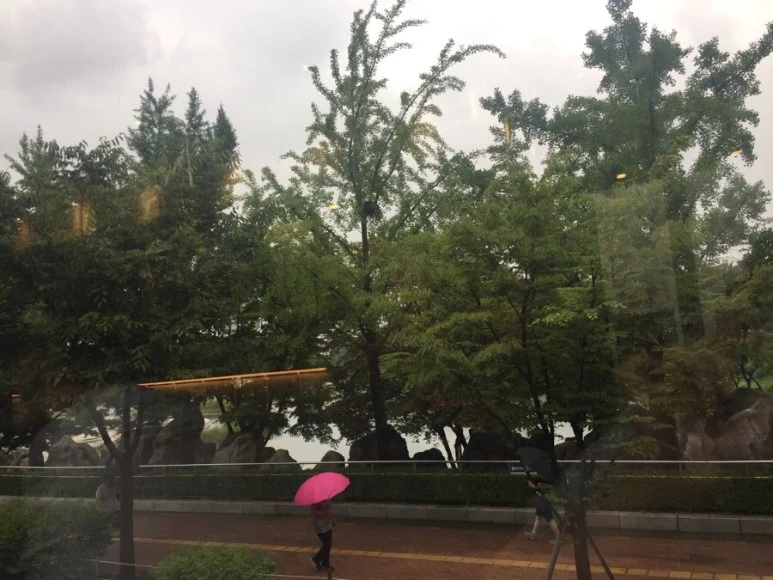 IMG_9656.jpg?type=w773