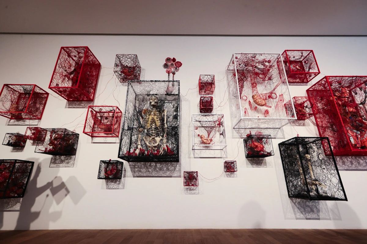 img.jpg?credential=yqXZFxpELC7KVnFOS48ylbz2pIh7yKj8&expires=1756652399&allow_ip=&allow_referer=&signature=KlT9Nw3ZvP2AG8YIdElLMlG1D7g%3D