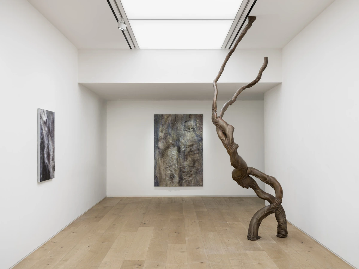 img.jpg?credential=yqXZFxpELC7KVnFOS48ylbz2pIh7yKj8&expires=1767193199&allow_ip=&allow_referer=&signature=26NvJT6vtH04RcFu%2BnLdq7aIJMQ%3D