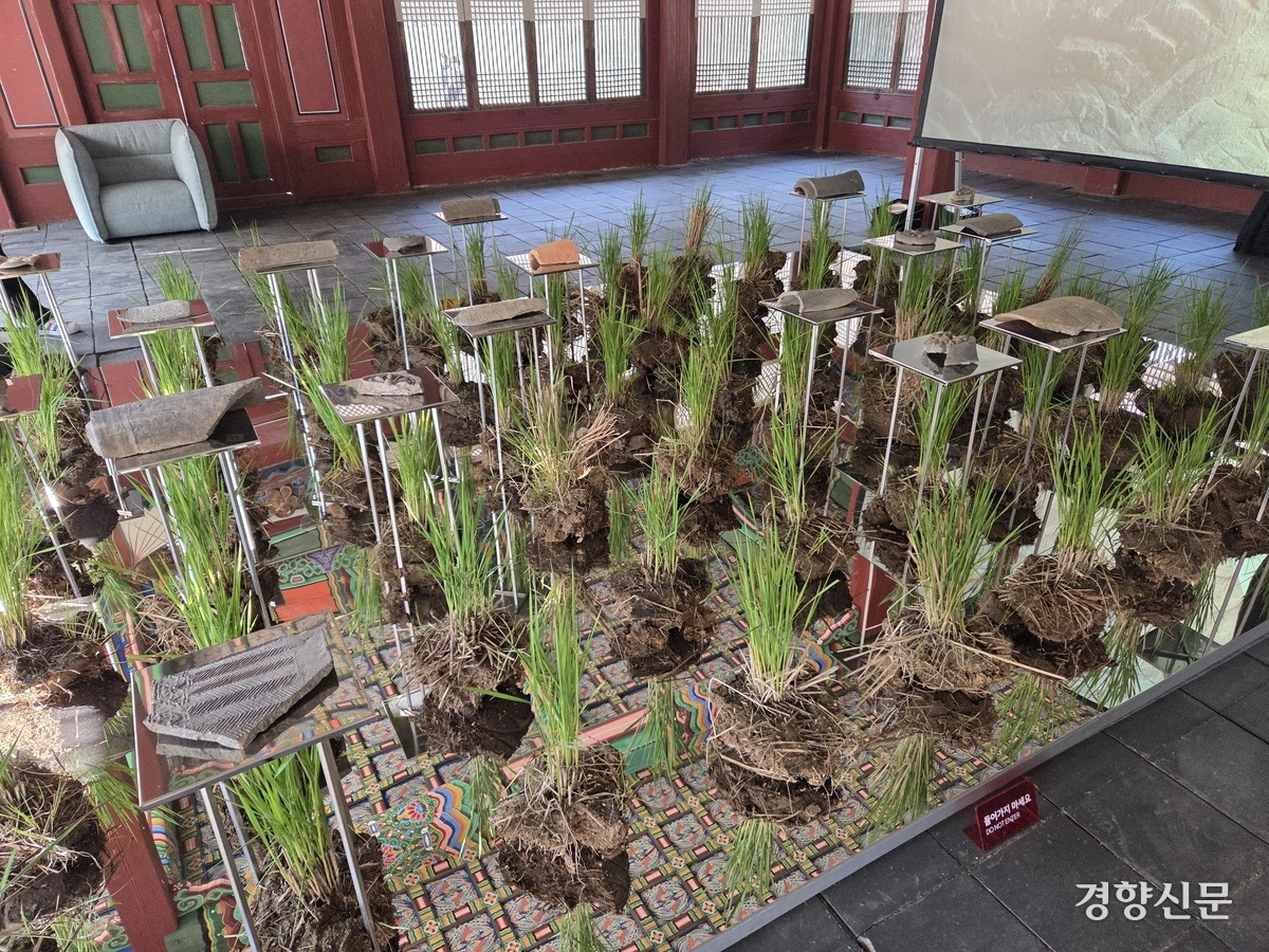 img.jpg?credential=yqXZFxpELC7KVnFOS48ylbz2pIh7yKj8&expires=1764514799&allow_ip=&allow_referer=&signature=qU%2BtpLMIok7mBBKB6WVlyysU1X4%3D