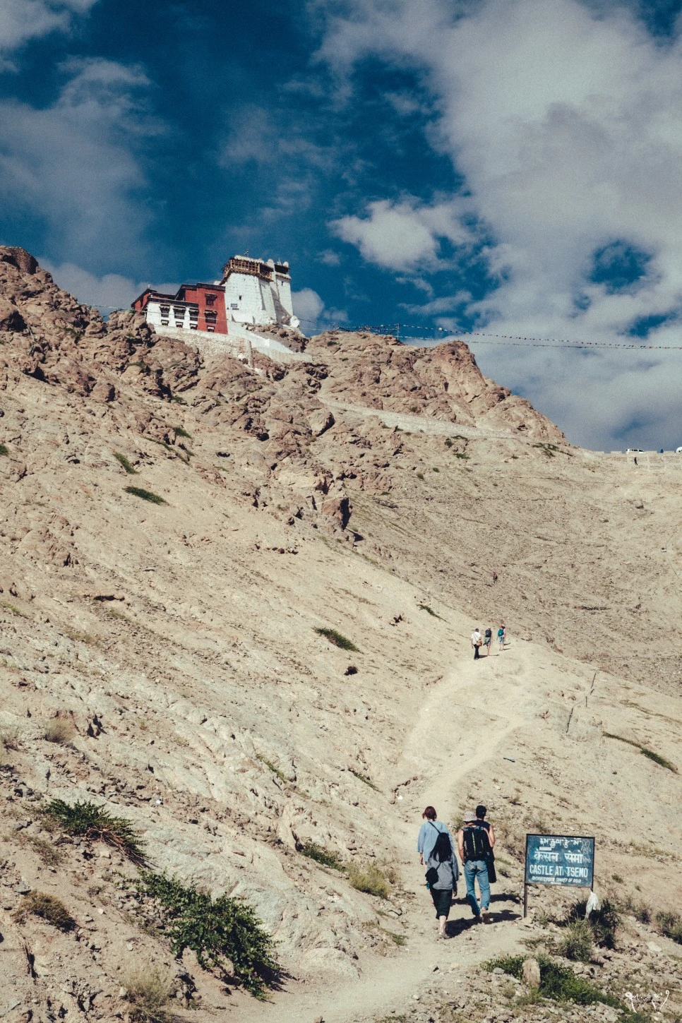 20150824-IMG_2691.jpg?type=w966