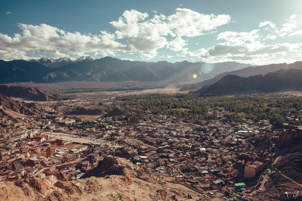 20150824-IMG_2855.jpg?type=w966