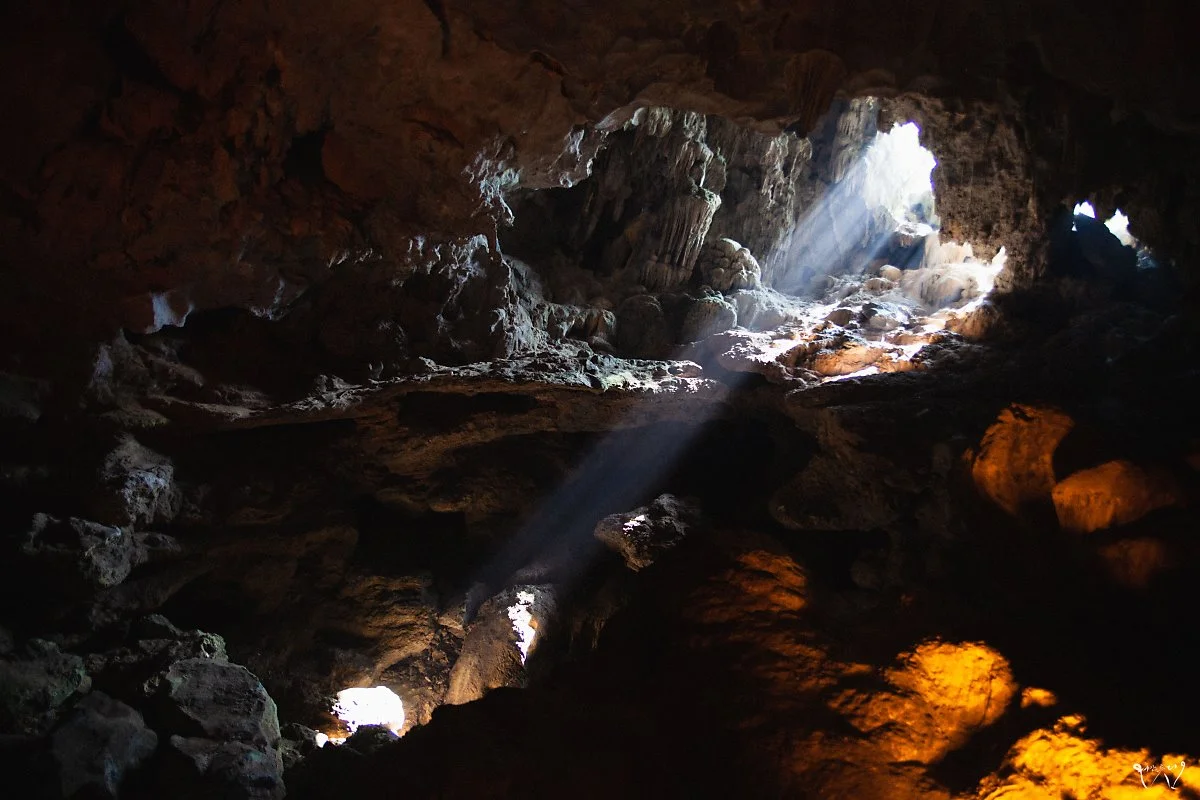 20150427-IMG_8754.jpg?type=w1200