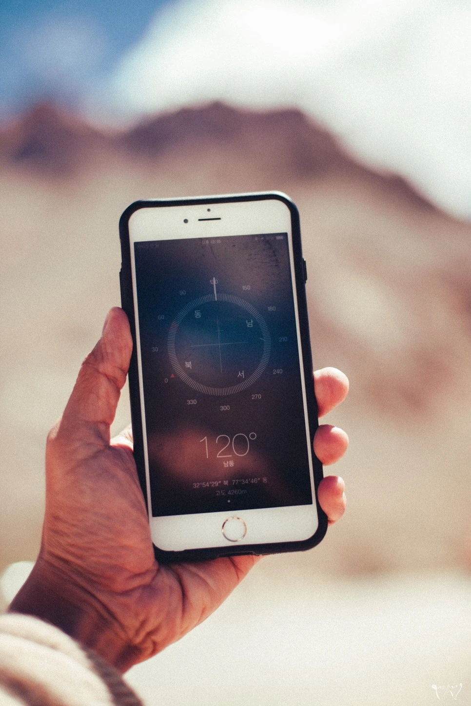 20150823-IMG_2229.jpg?type=w966