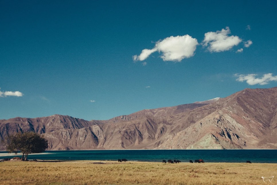 20150825-IMG_3579.jpg?type=w966