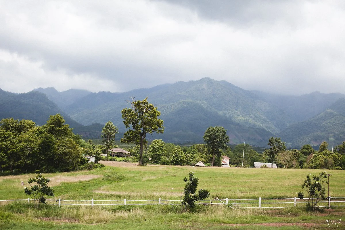 20150702-IMG_3307.jpg?type=w1200