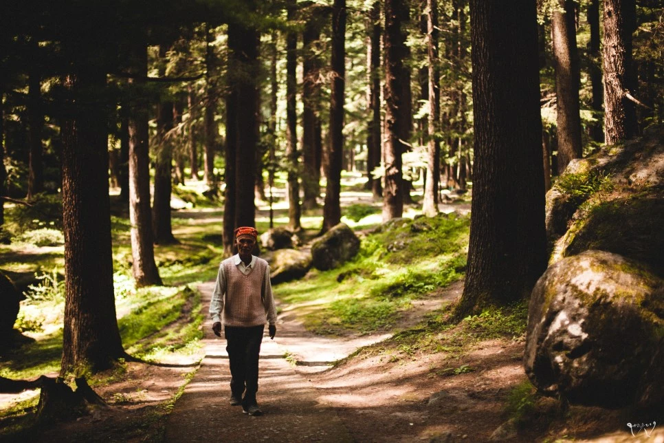 20150819-IMG_9974.jpg?type=w966