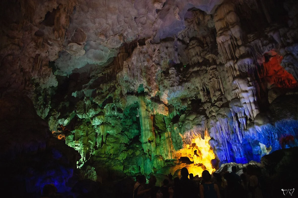 20150427-IMG_8783.jpg?type=w1200