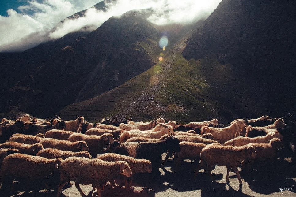 20150823-IMG_1884.jpg?type=w966