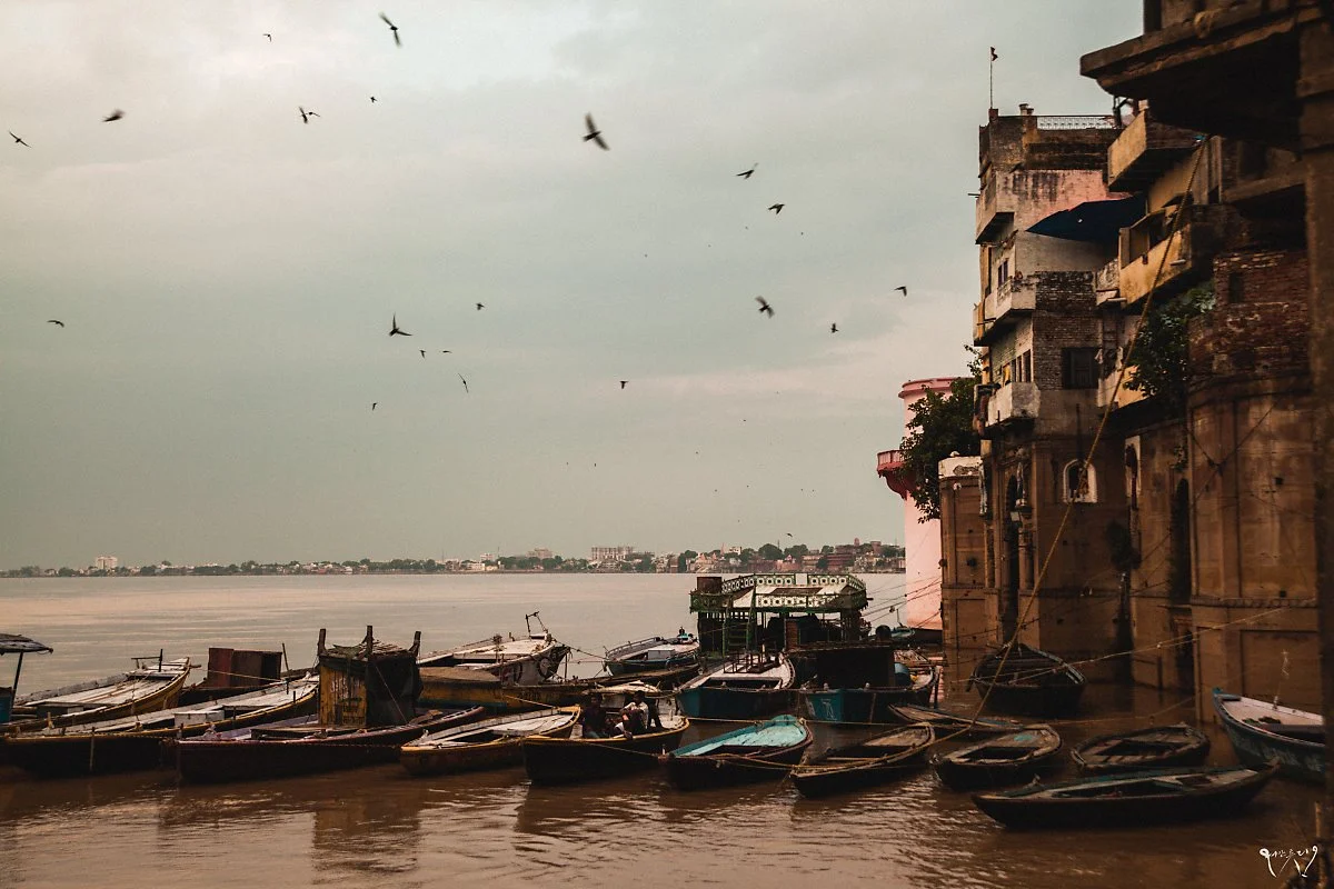 IMG_9513.jpg?type=w1200