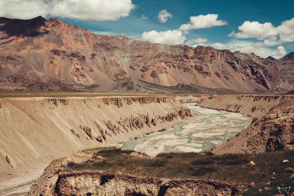 20150823-IMG_2179.jpg?type=w966