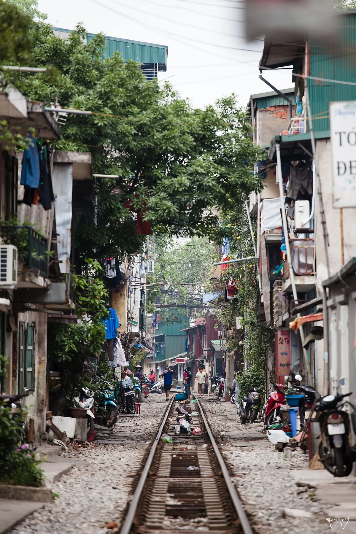 20150424-IMG_6975.jpg?type=w1200