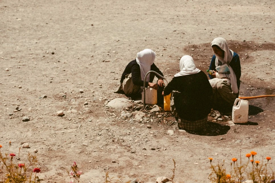 20150829-IMG_4681.jpg?type=w966