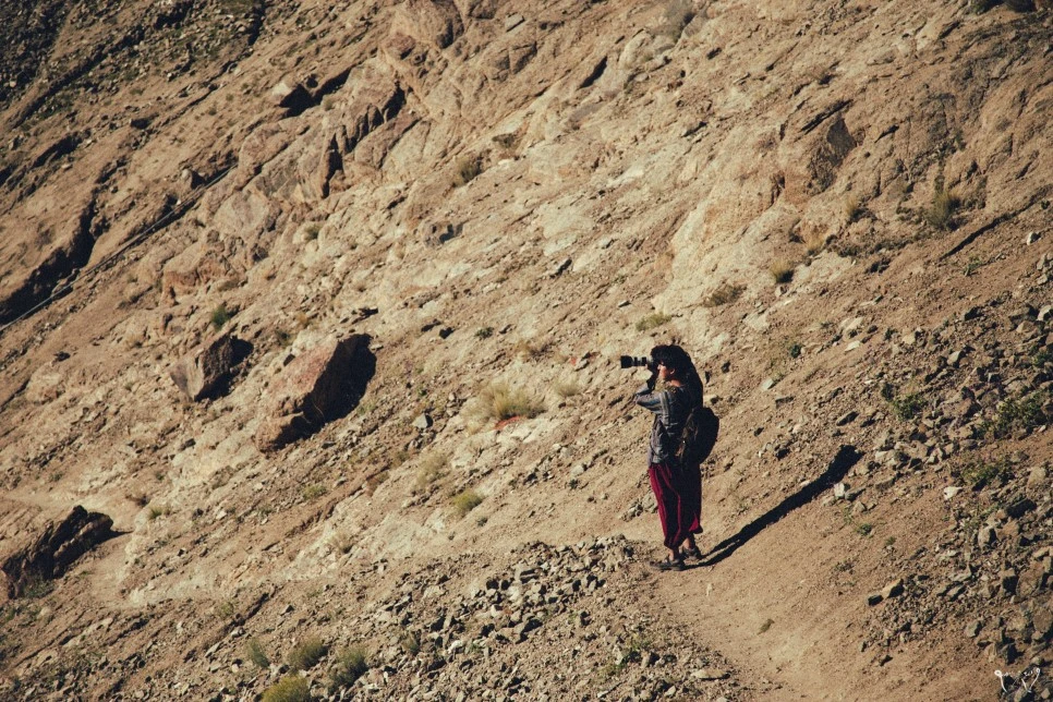 20150824-IMG_2720.jpg?type=w966