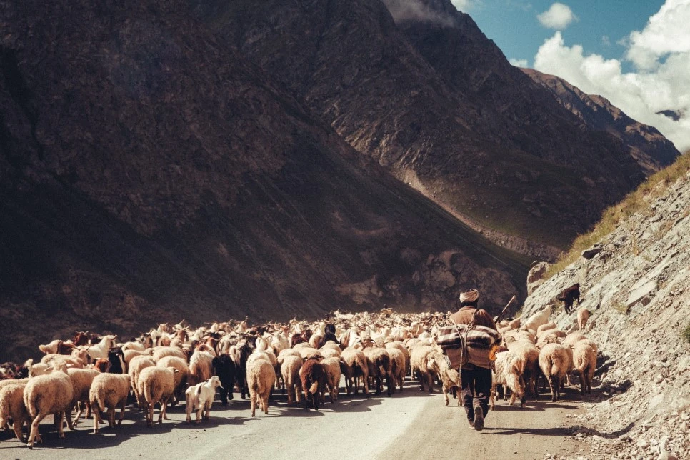 20150823-IMG_1904.jpg?type=w966