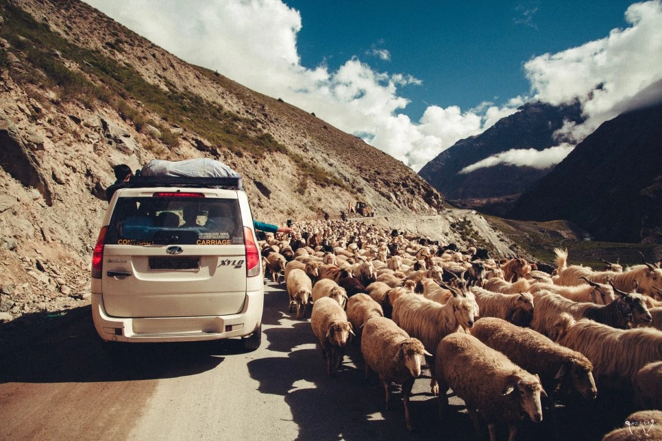 20150823-IMG_1891.jpg?type=w966