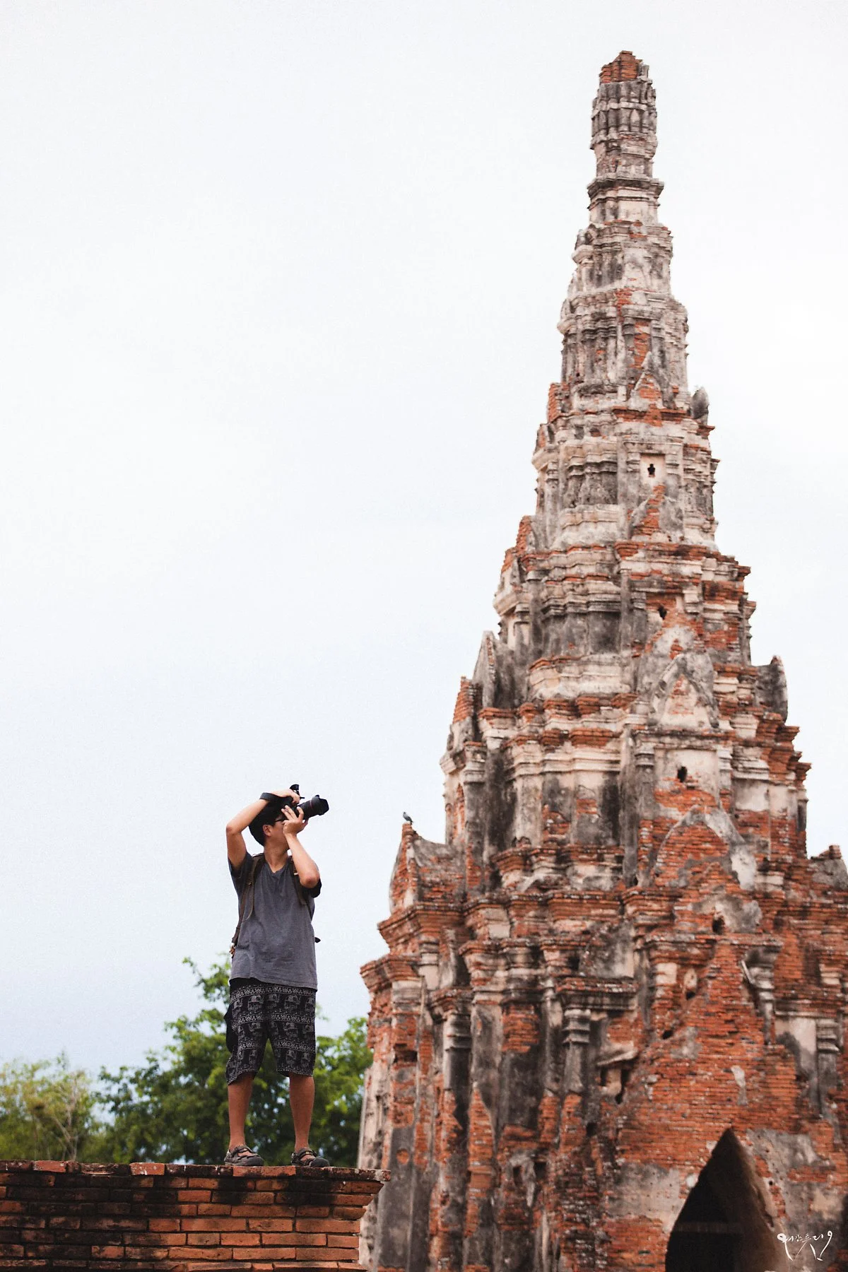 20150727-IMG_3270.jpg?type=w1200