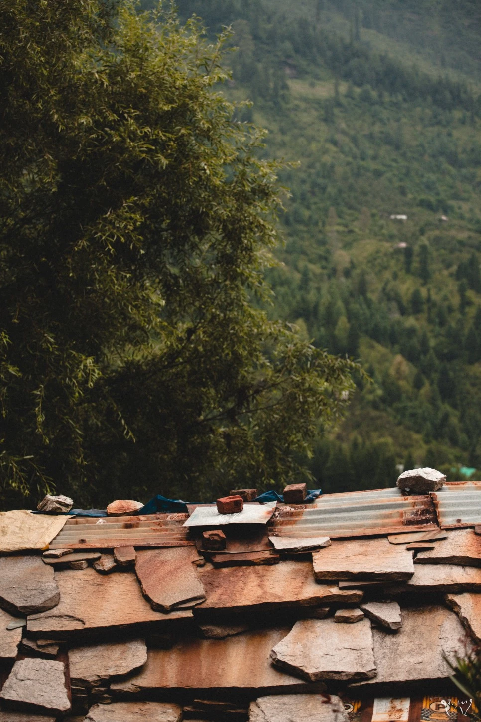 20150819-IMG_0362.jpg?type=w966