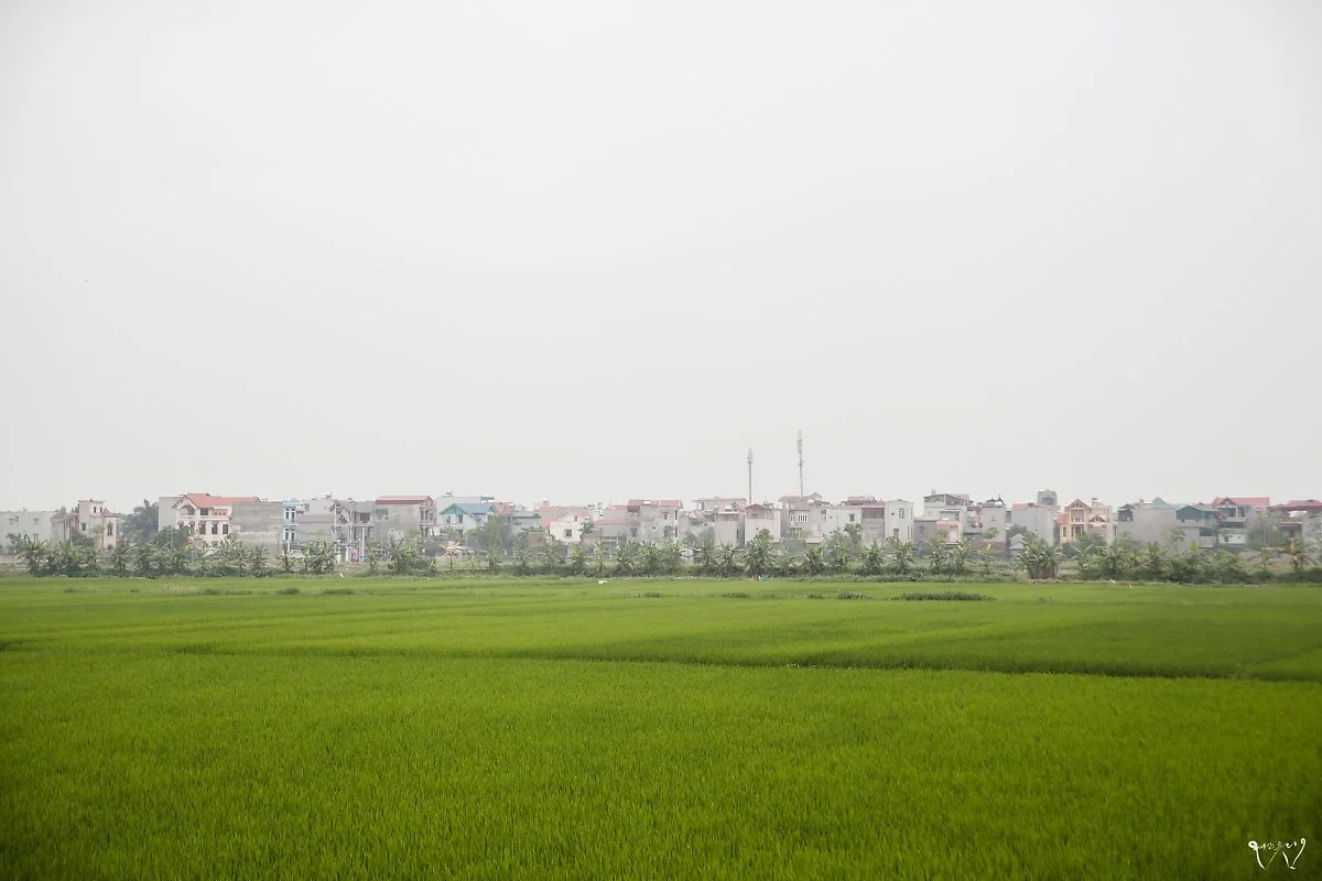 20150425-IMG_7353.jpg?type=w1200