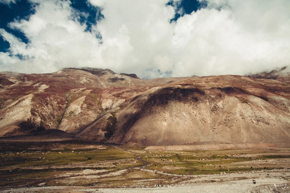 20150823-IMG_1914.jpg?type=w966