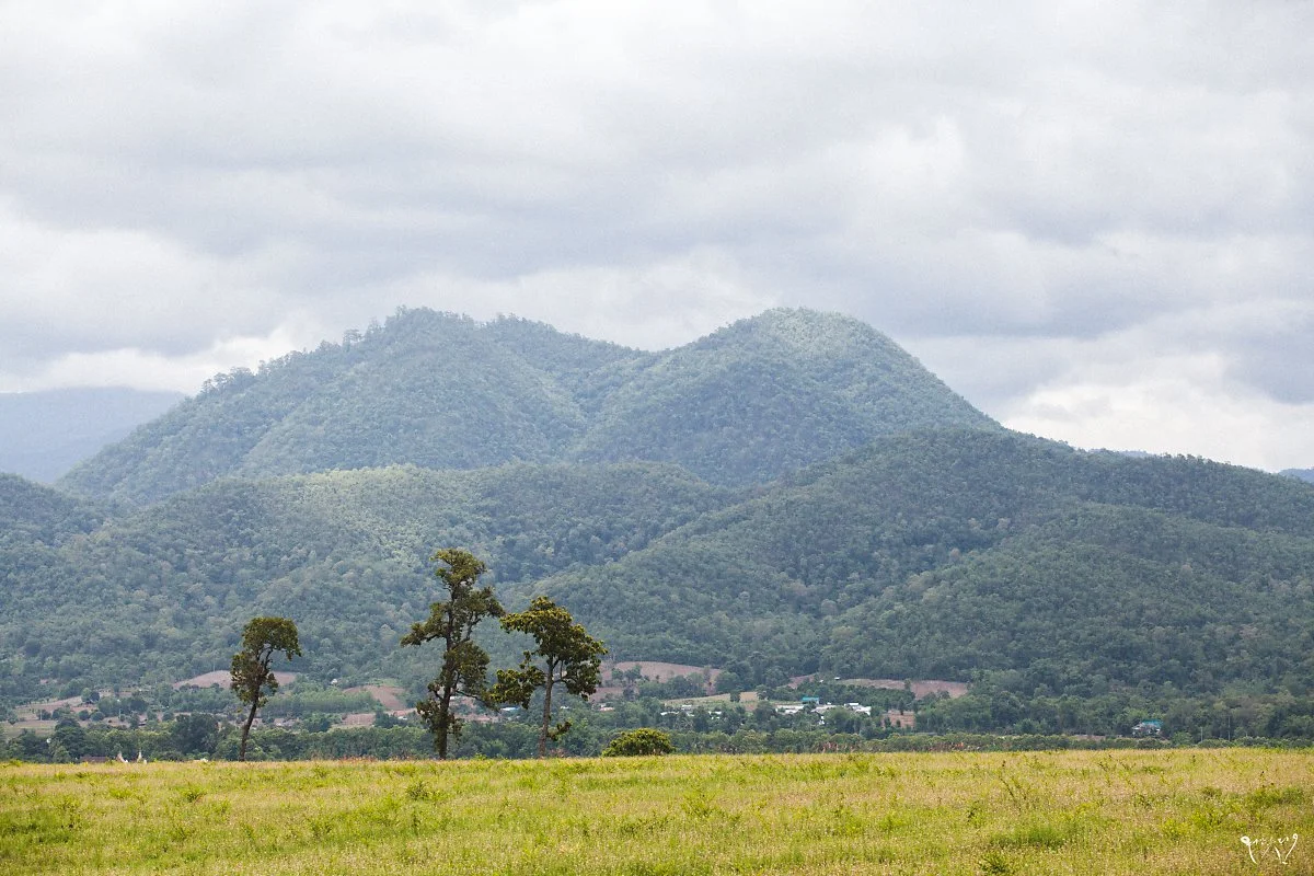 20150702-IMG_3257.jpg?type=w1200