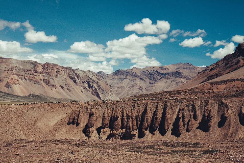 20150823-IMG_2176.jpg?type=w966