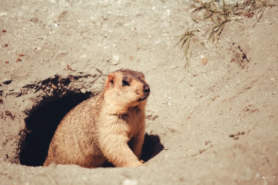 20150825-IMG_3273.jpg?type=w966