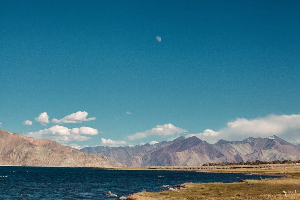 20150825-IMG_3597.jpg?type=w966