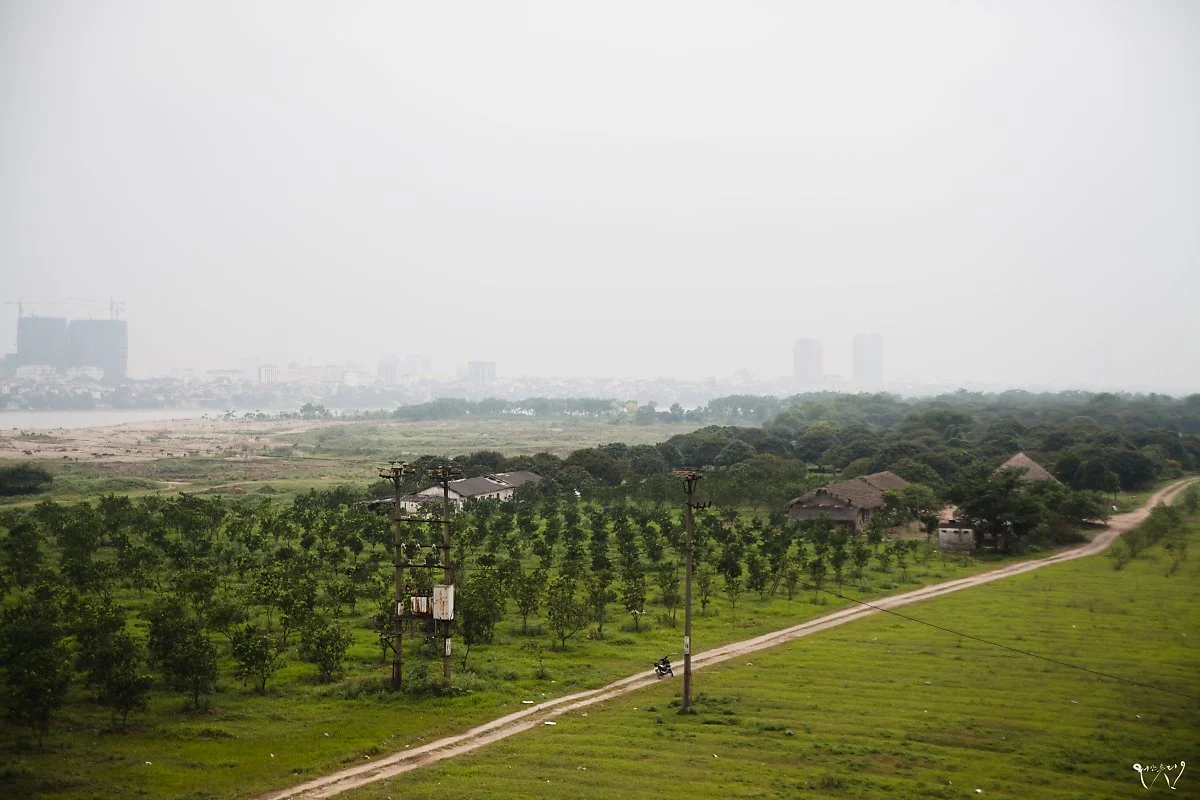 20150425-IMG_7375.jpg?type=w1200