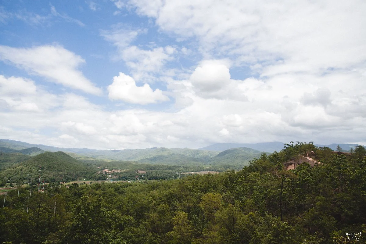 20150628-IMG_0450.jpg?type=w1200