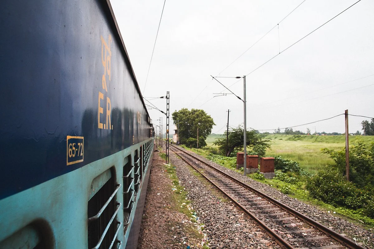 20150803-IMG_9260.jpg?type=w1200