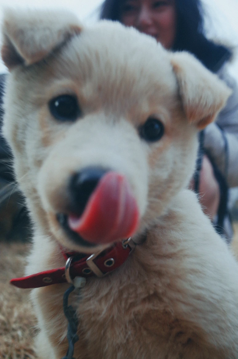 KU001718.png?type=w773