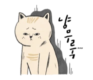 original_20.png?type=p50_50