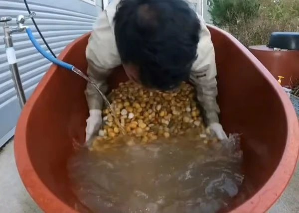 AD_4nXcs0FtuSTD-r66OUFVTSlXvbd80LQtt4rm6VWhojvQLrtvKeqSPAfT9kKALnF9xrBW0gnNziVK0n5ik7xhuv71CkItEVo5o04UaWgaAwXLewr0iv921ea1U0riJUNRsKnW4euPrtCdjmwPbgEkRnbuCjPwo?key=0G80i8BX9umeucJCUjWvBw