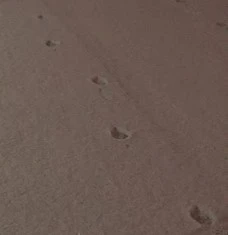 %EB%B0%9C%EC%9E%90%EA%B5%AD.jpg?type=w1