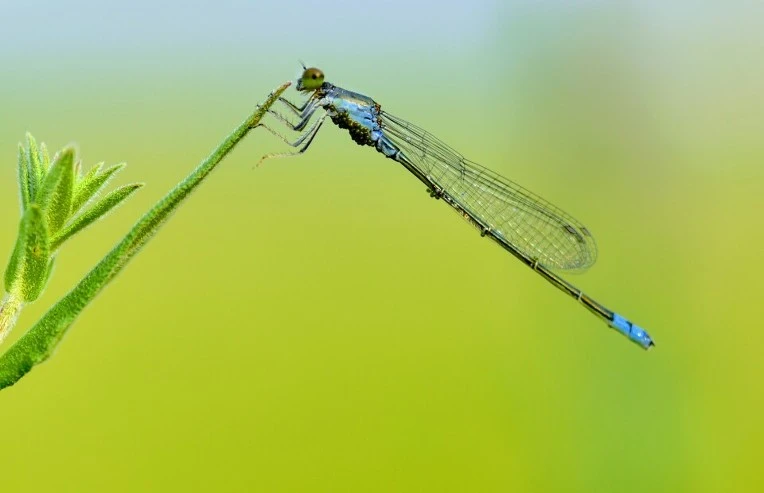 21554D3E595EC7F70AD3CD