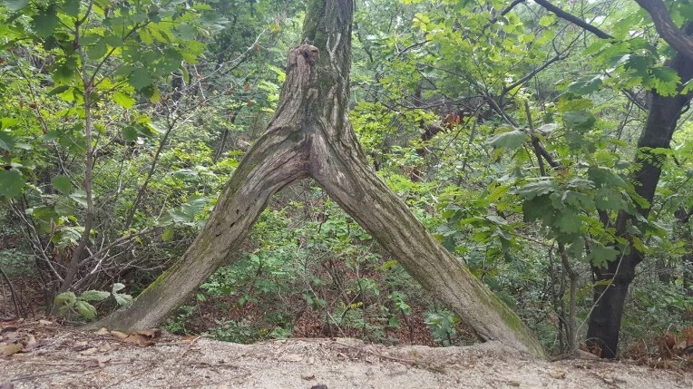 242CE44957E0E3B3011922